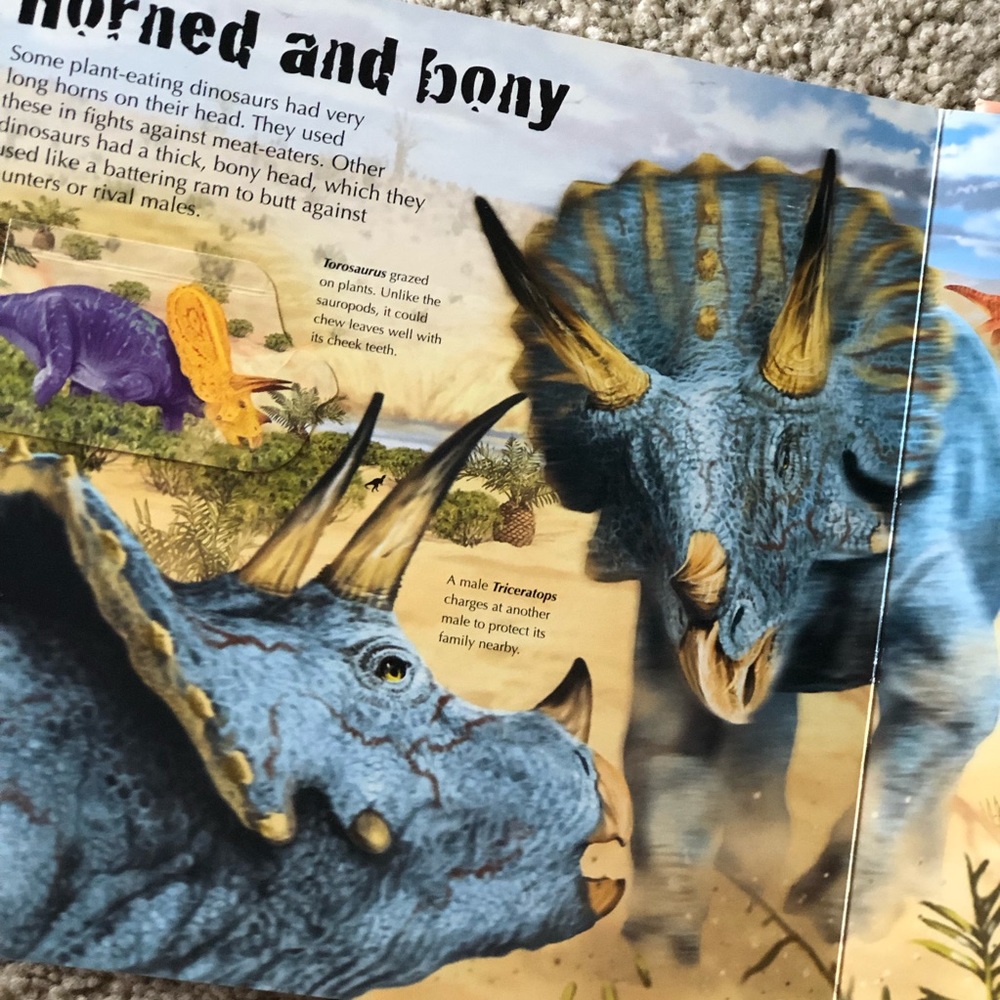Dinosaurs Octagonal Box Set - Picture 7 of 11
